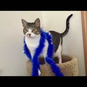 Meet your Posher, Kendra